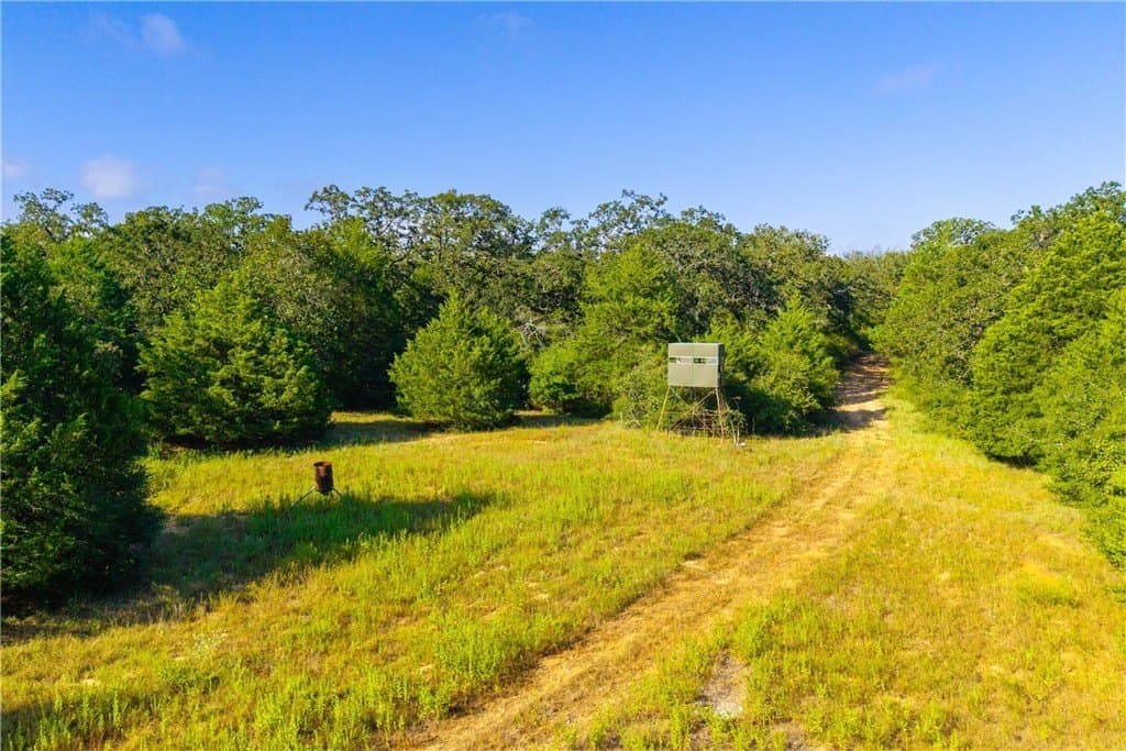104.1 acres in LEE County - photo 17