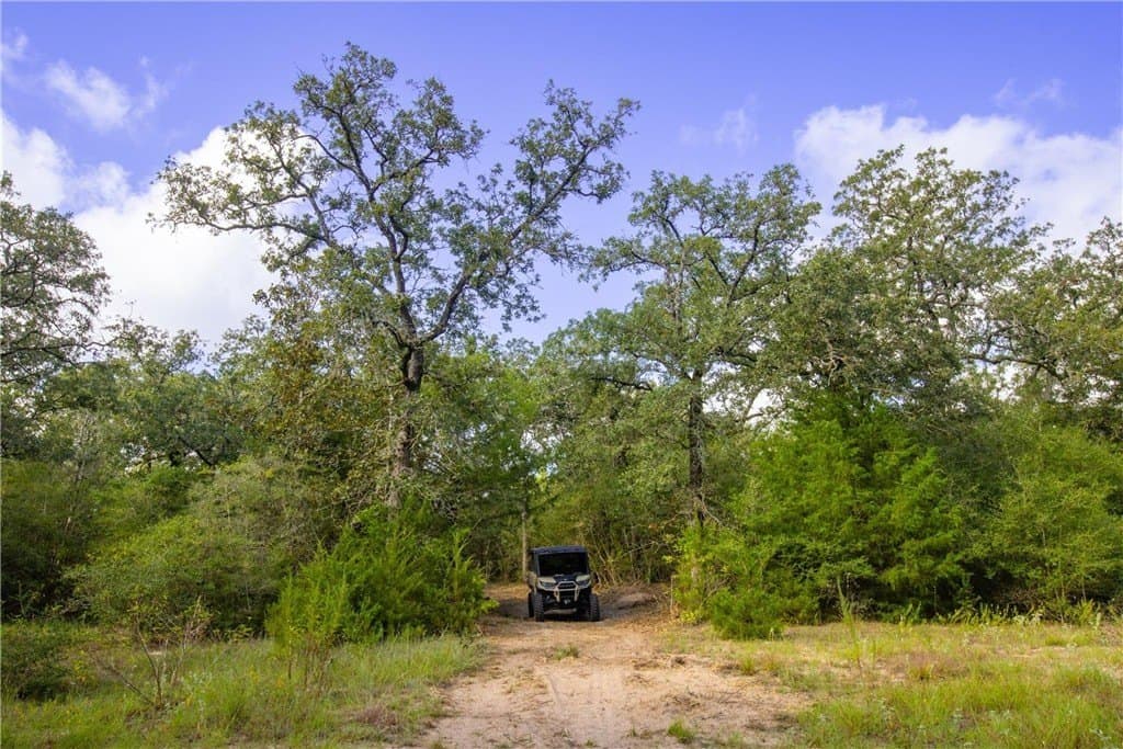 104.1 acres in LEE County - photo 23