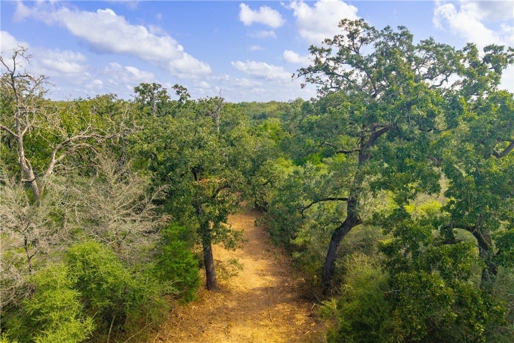 104.1 acres in LEE County - photo 29