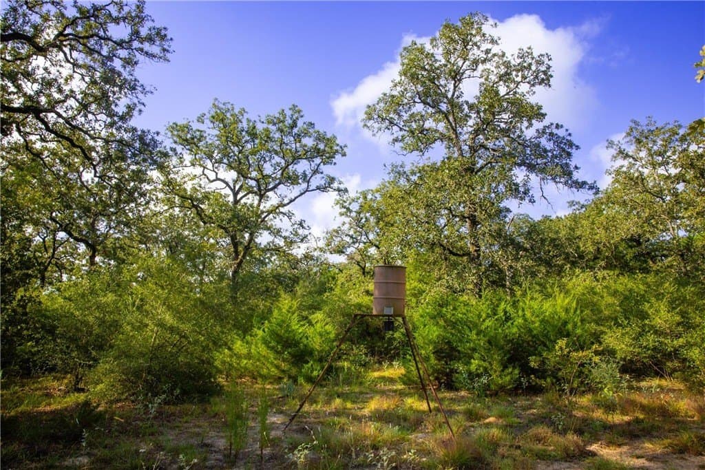 104.1 acres in LEE County - photo 24