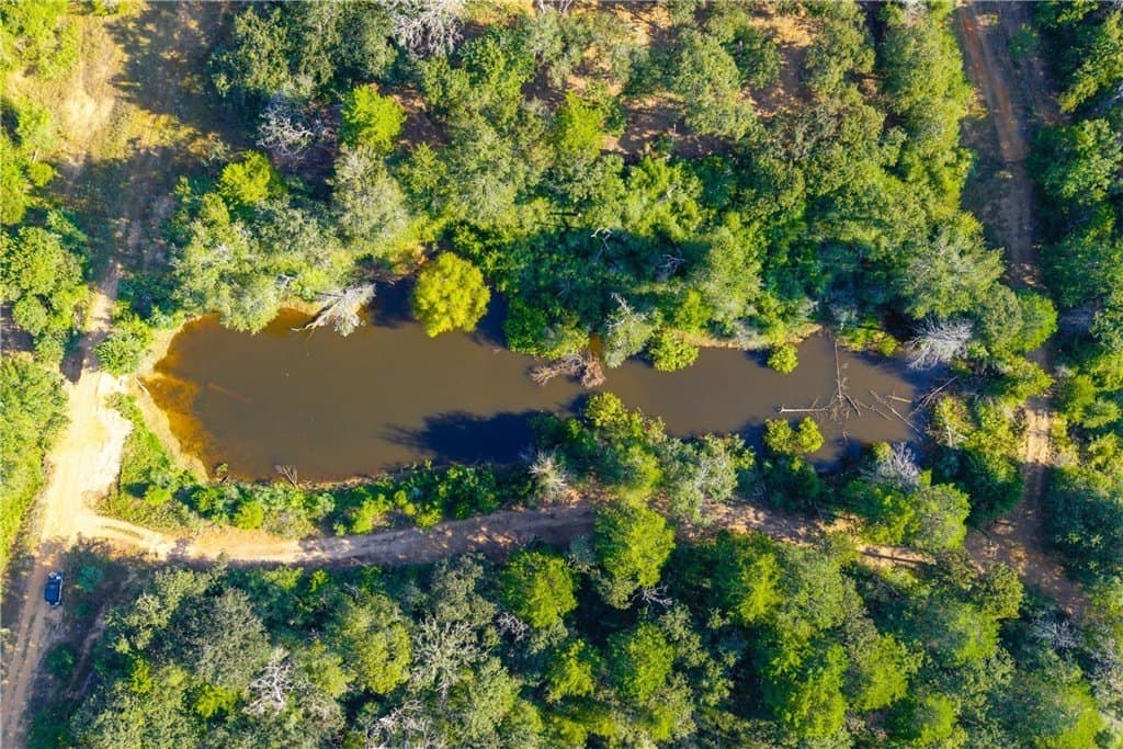 104.1 acres in LEE County - photo 14