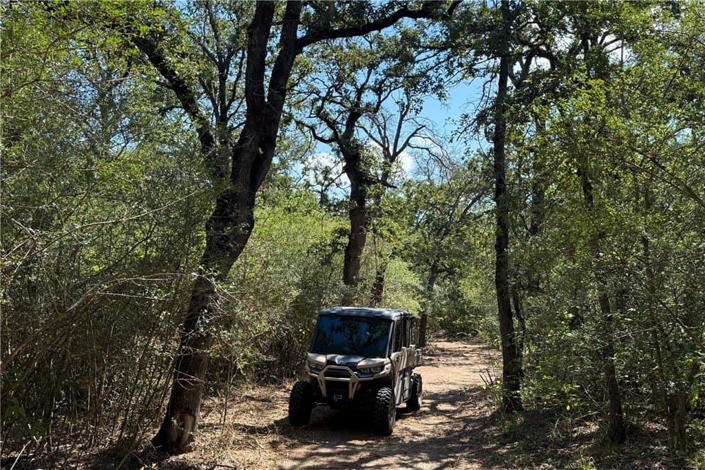 104.1 acres in LEE County - photo 20