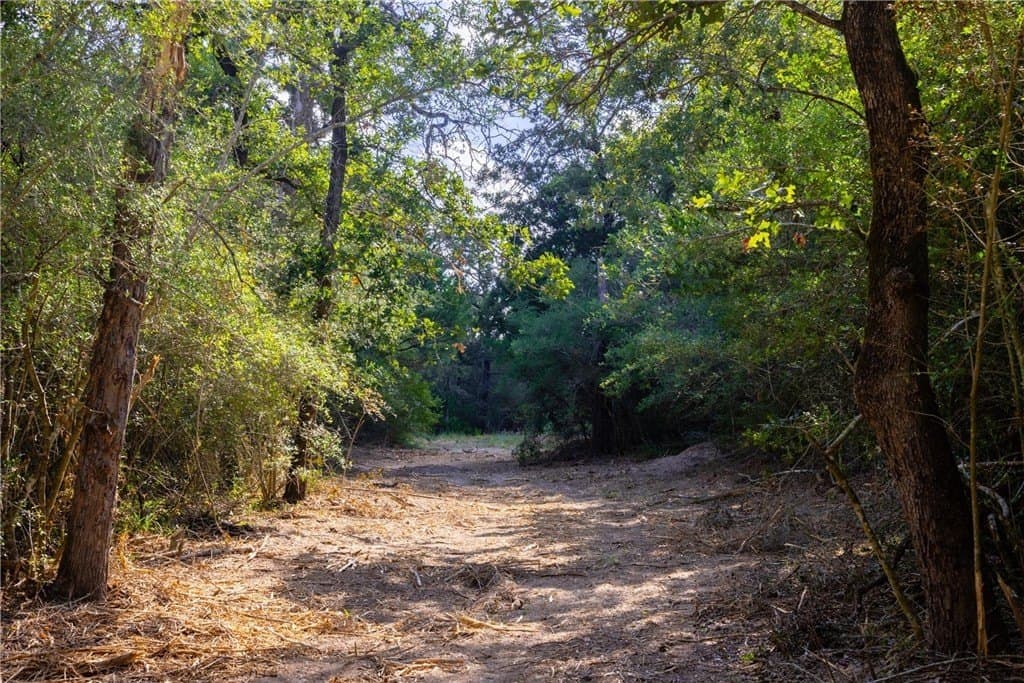 104.1 acres in LEE County - photo 22