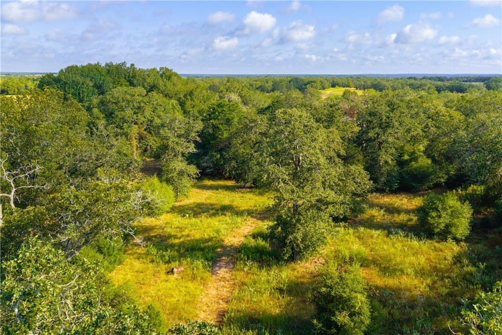 104.1 acres in LEE County - photo 13