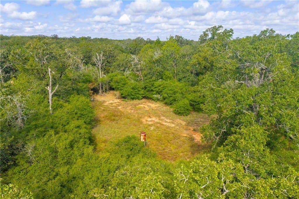 104.1 acres in LEE County - photo 30