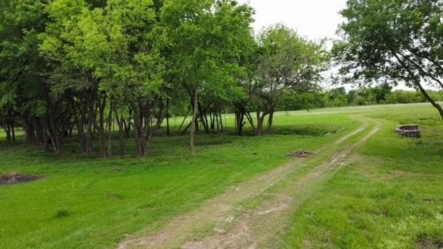 14.71 acres in Rains County featured view