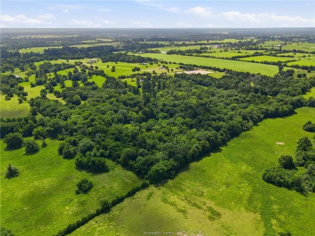 38 acres in Grimes County featured view