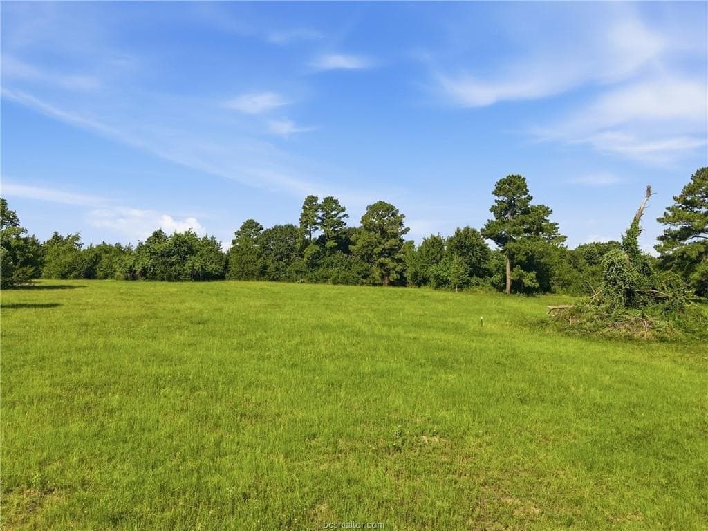 38 acres in Grimes County - photo 12