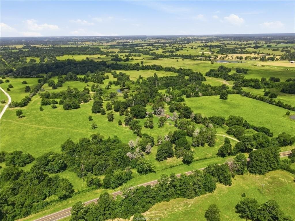 38 acres in Grimes County gallery image 2
