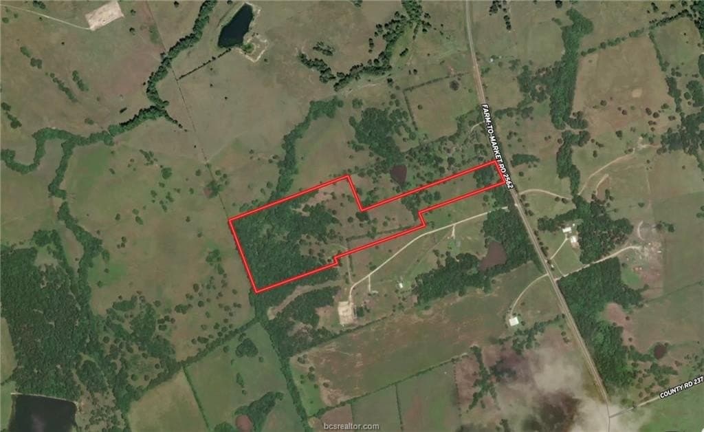 38 acres in Grimes County - photo 10
