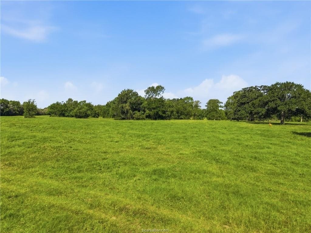 38 acres in Grimes County - photo 11