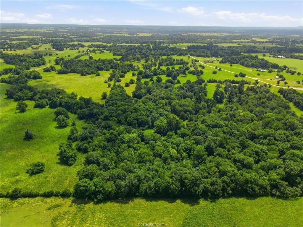 38 acres in Grimes County - photo 14