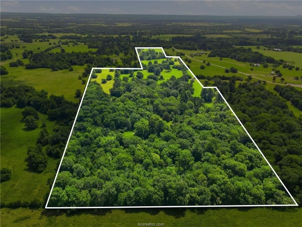 38 acres in Grimes County - photo 15
