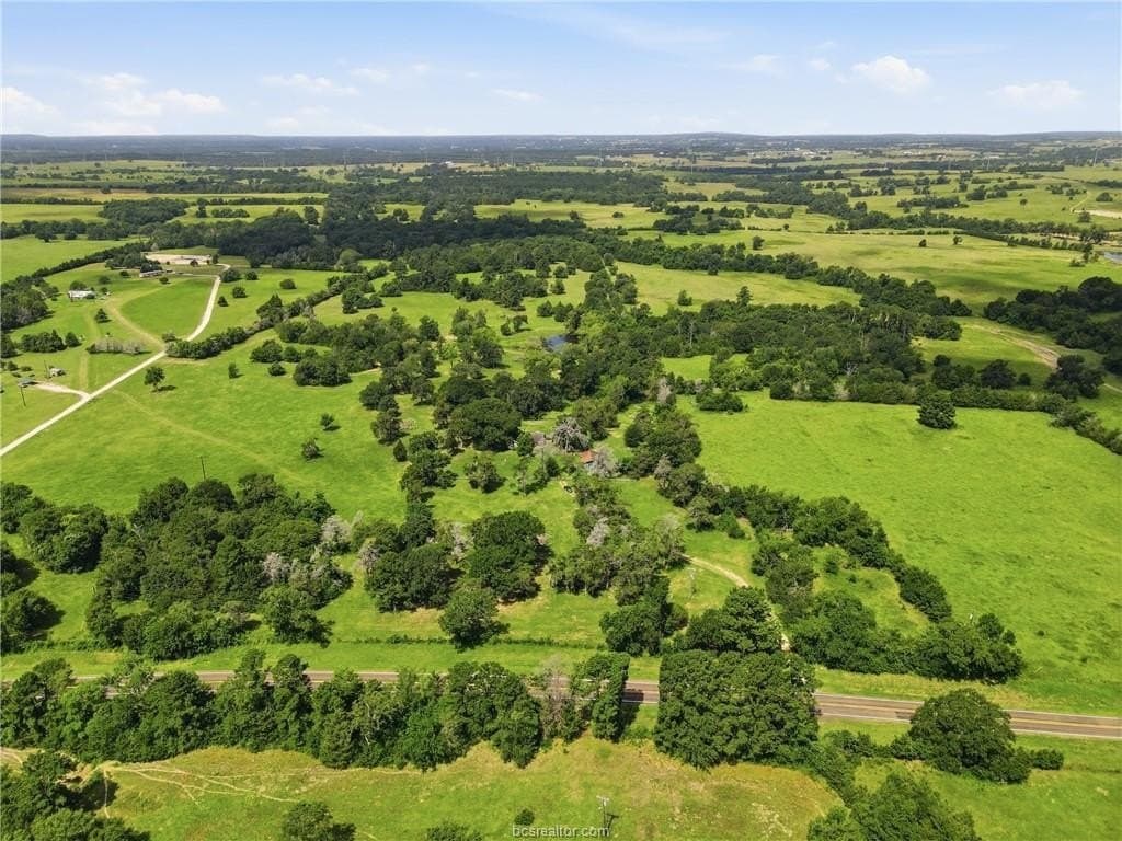 38 acres in Grimes County gallery image 4