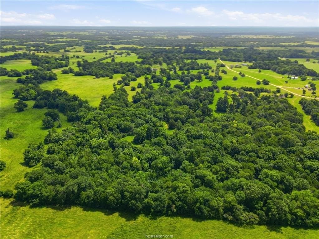 38 acres in Grimes County - photo 6