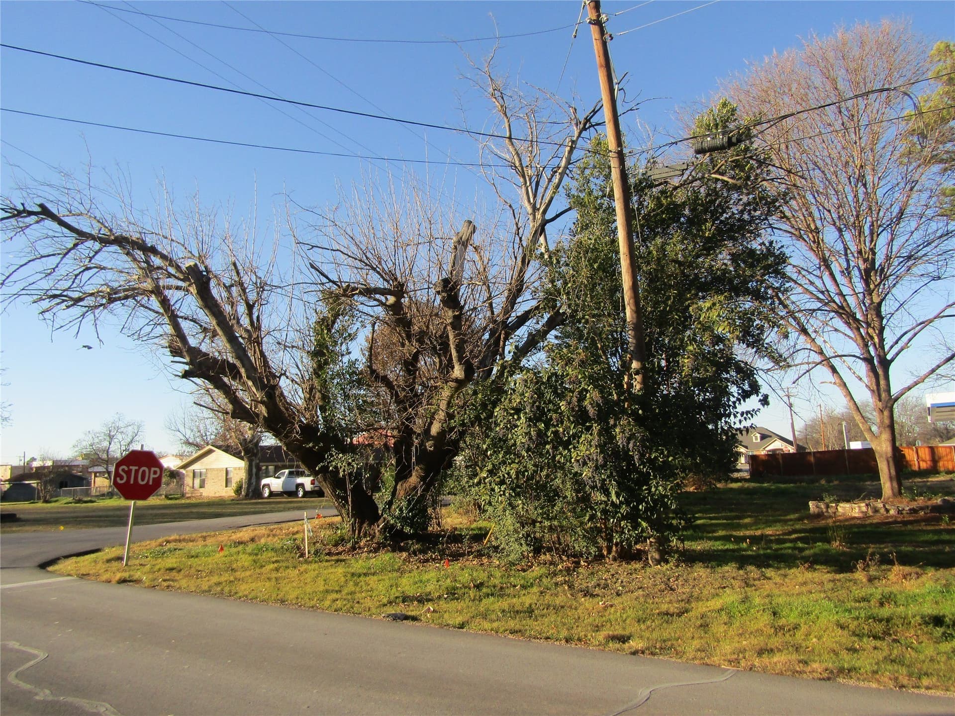 0.19 acres in Wise County - photo 2