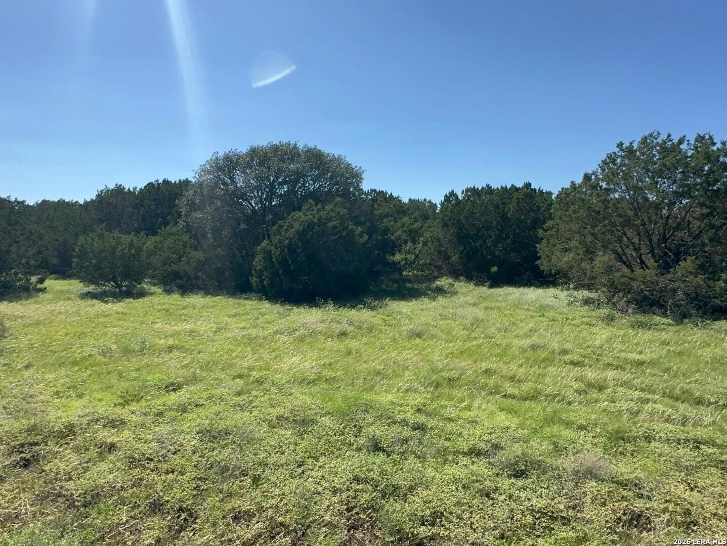 10 acres in Burnet County - photo 8