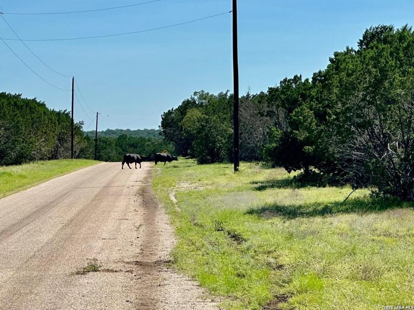 10 acres in Burnet County - photo 10
