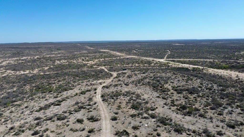 47 acres in Terrell County gallery image 4