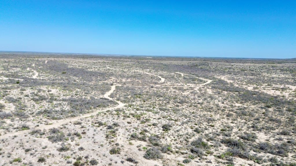 47 acres in Terrell County featured view