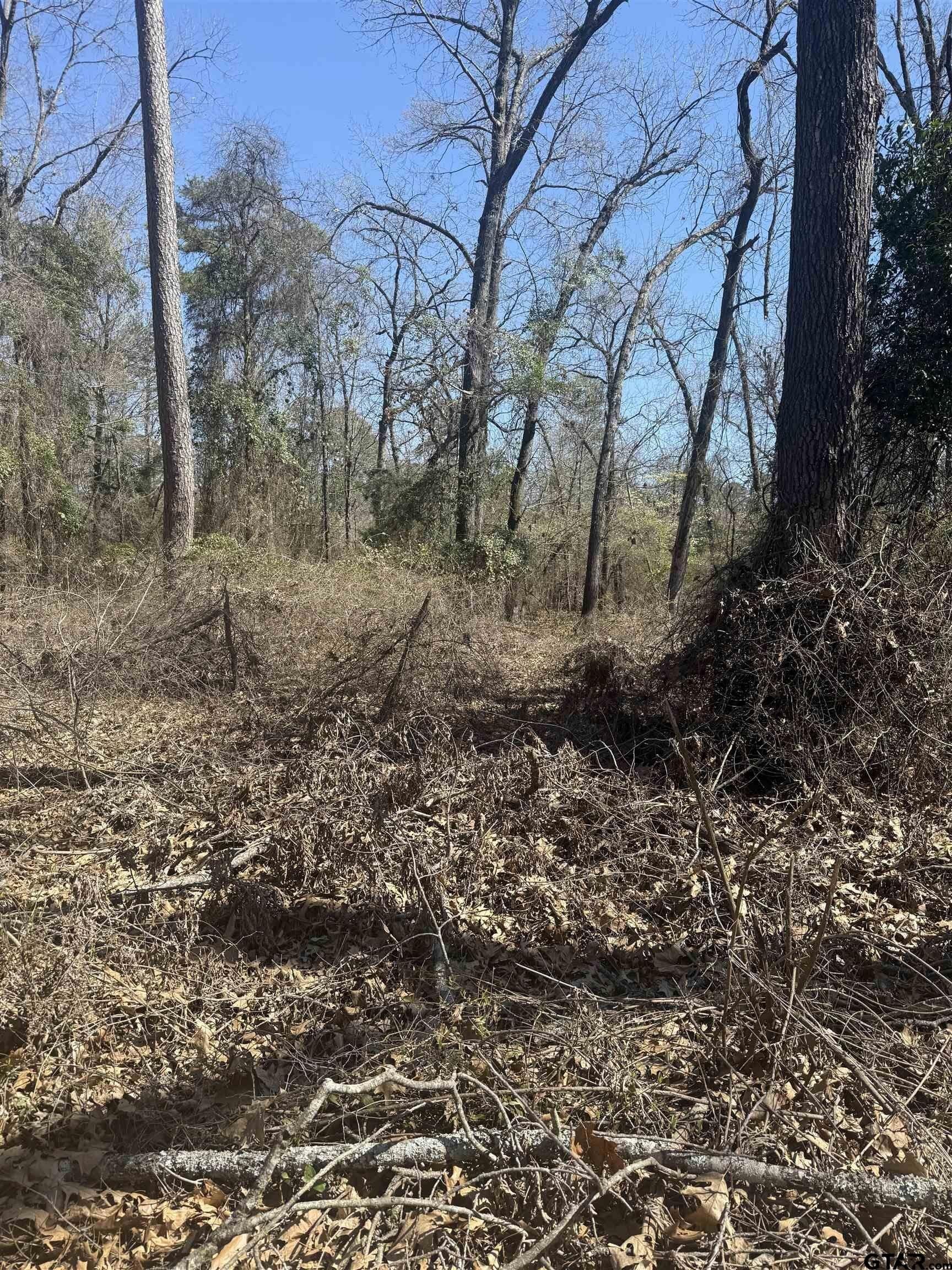 0.6 acres in Franklin County gallery image 2