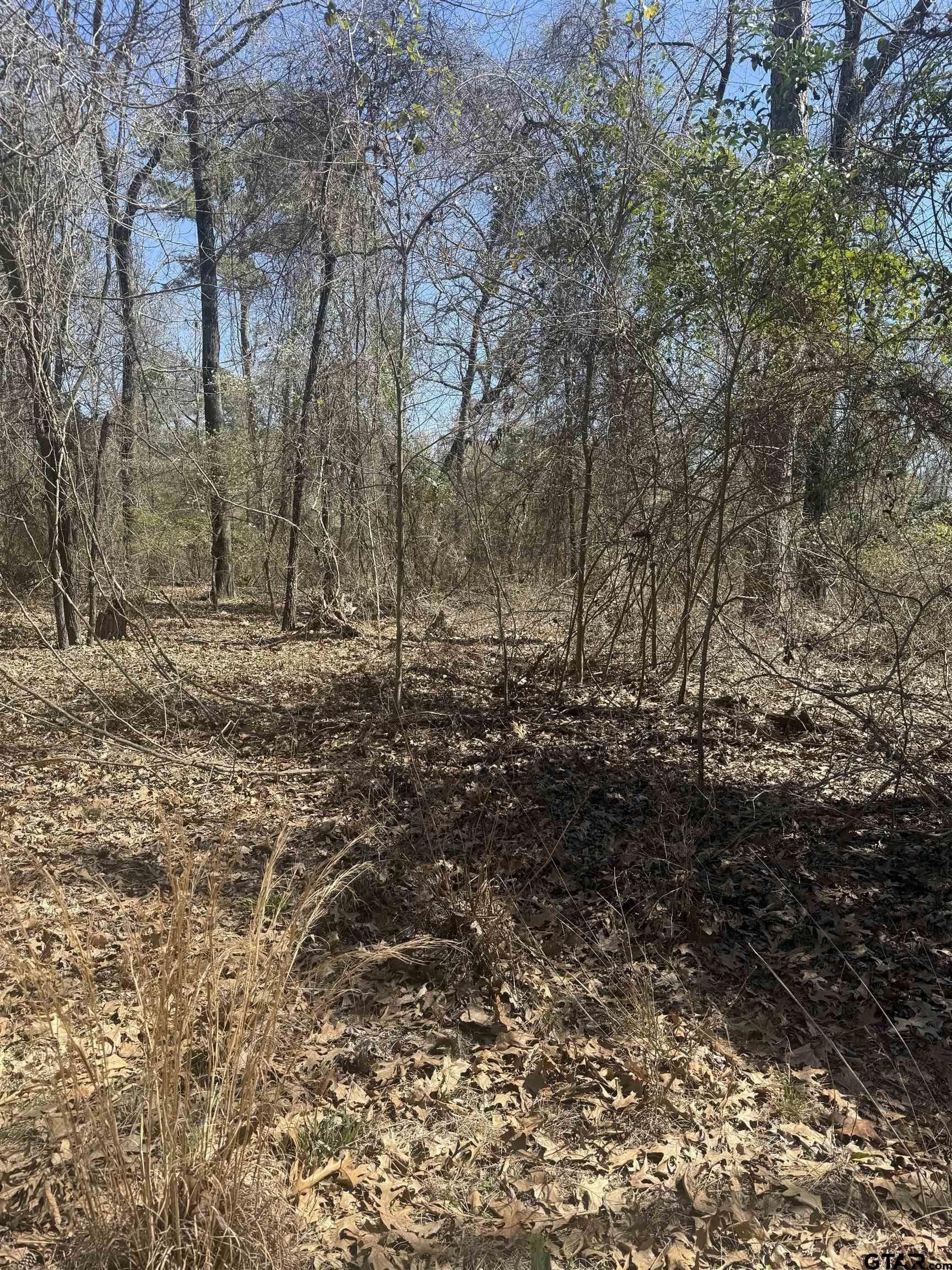 0.6 acres in Franklin County gallery image 3