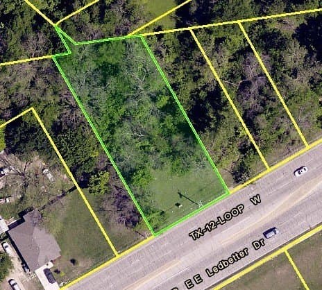 0.55 acres in Dallas County gallery image 2