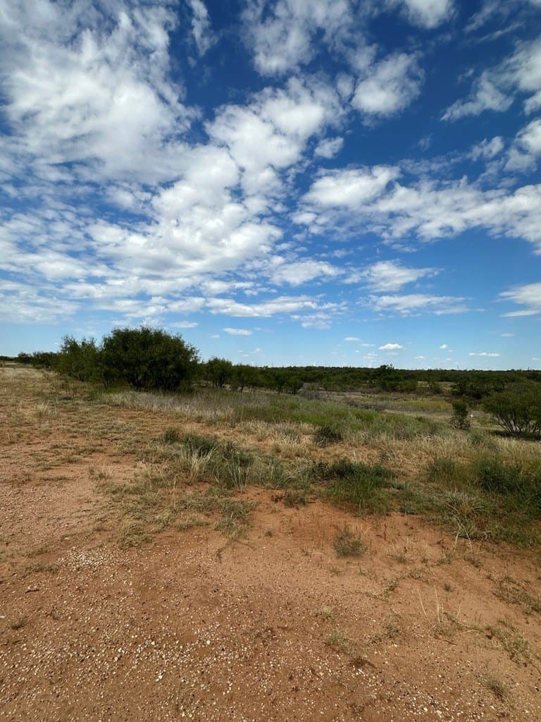 90.07 acres in Scurry County - photo 8