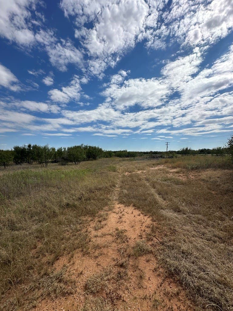 90.07 acres in Scurry County - photo 5