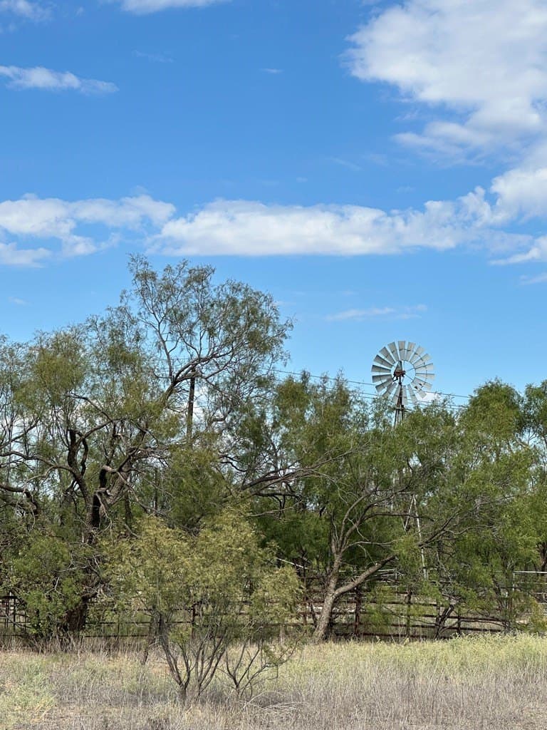 90.07 acres in Scurry County - photo 6