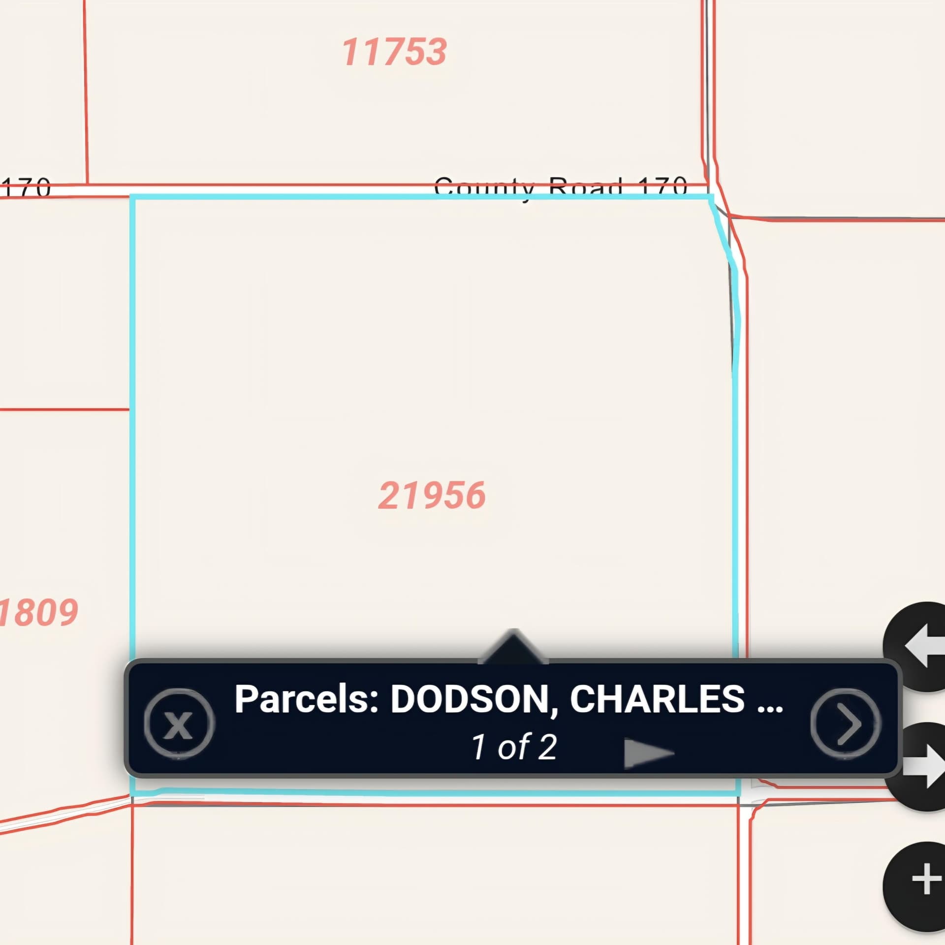 153.53 acres in Hale County - photo 2