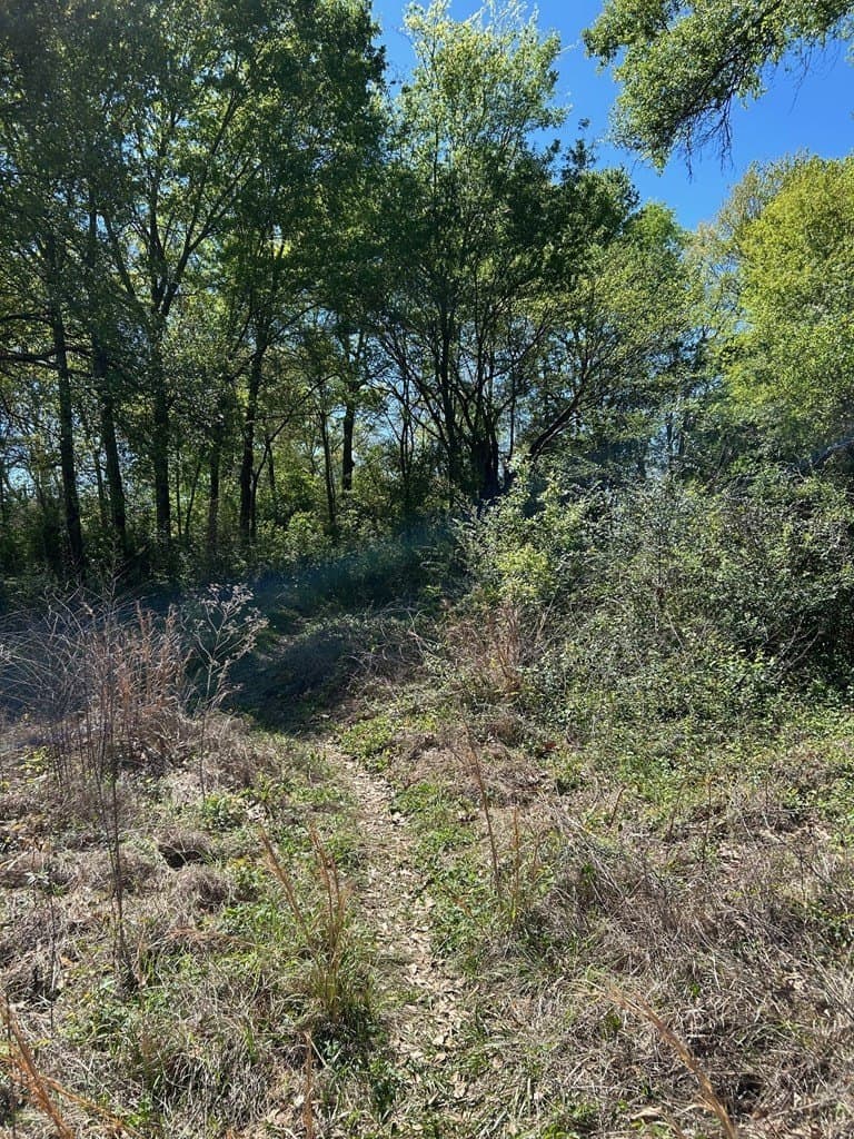 0.41 acres in Texas County gallery image 3