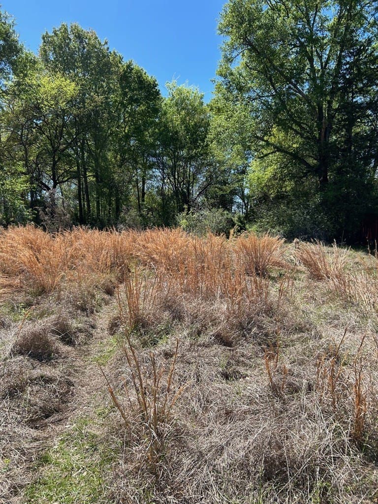 0.41 acres in Texas County gallery image 2