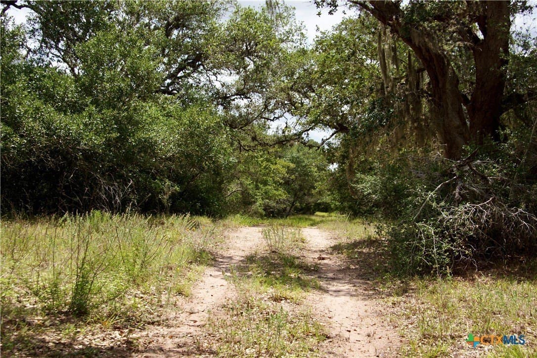 66.6 acres in DeWitt County - photo 19