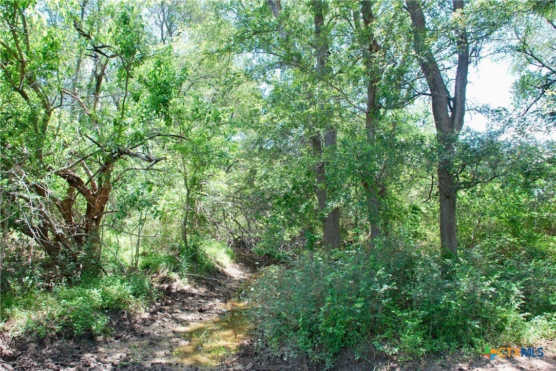 10.71 acres in Fayette County - photo 14