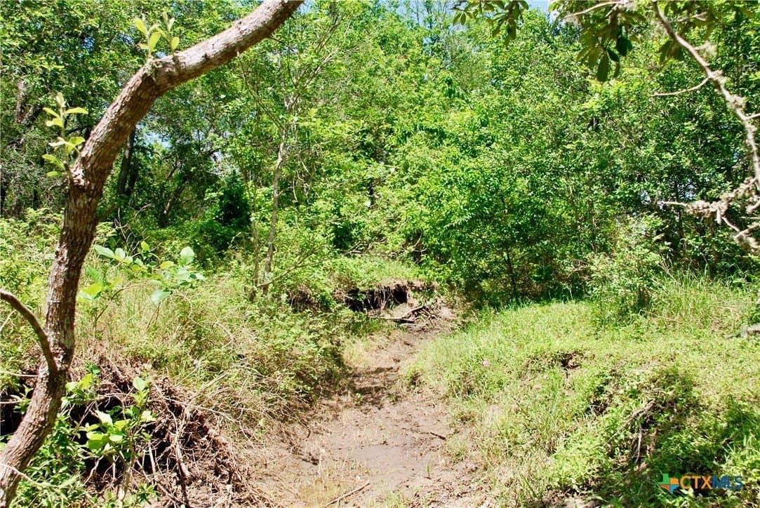 10.71 acres in Fayette County - photo 16