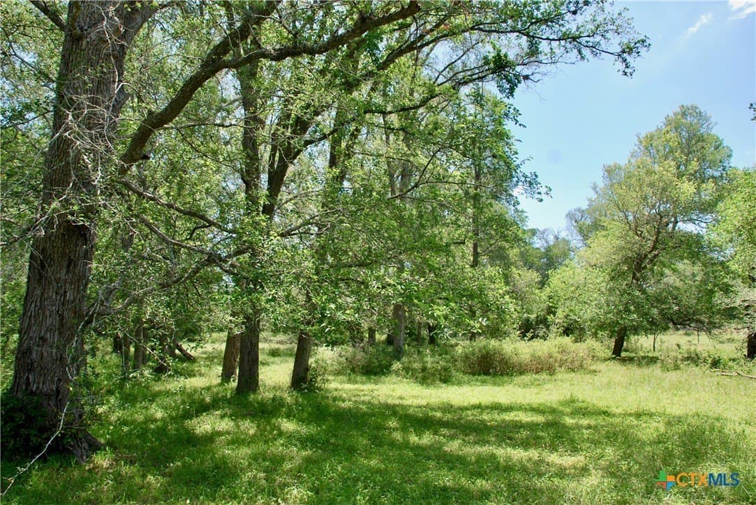 10.71 acres in Fayette County - photo 17