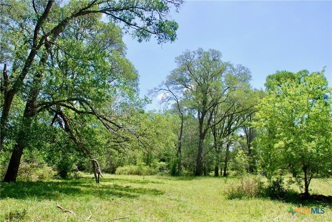 10.71 acres in Fayette County - photo 6