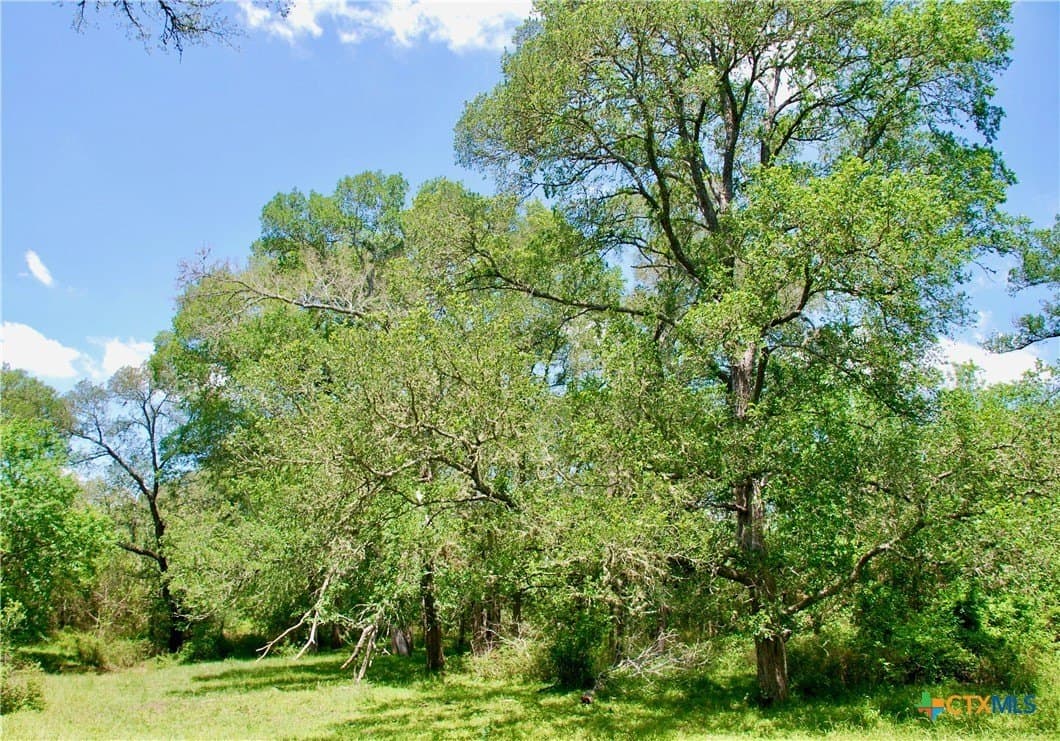 10.71 acres in Fayette County - photo 15