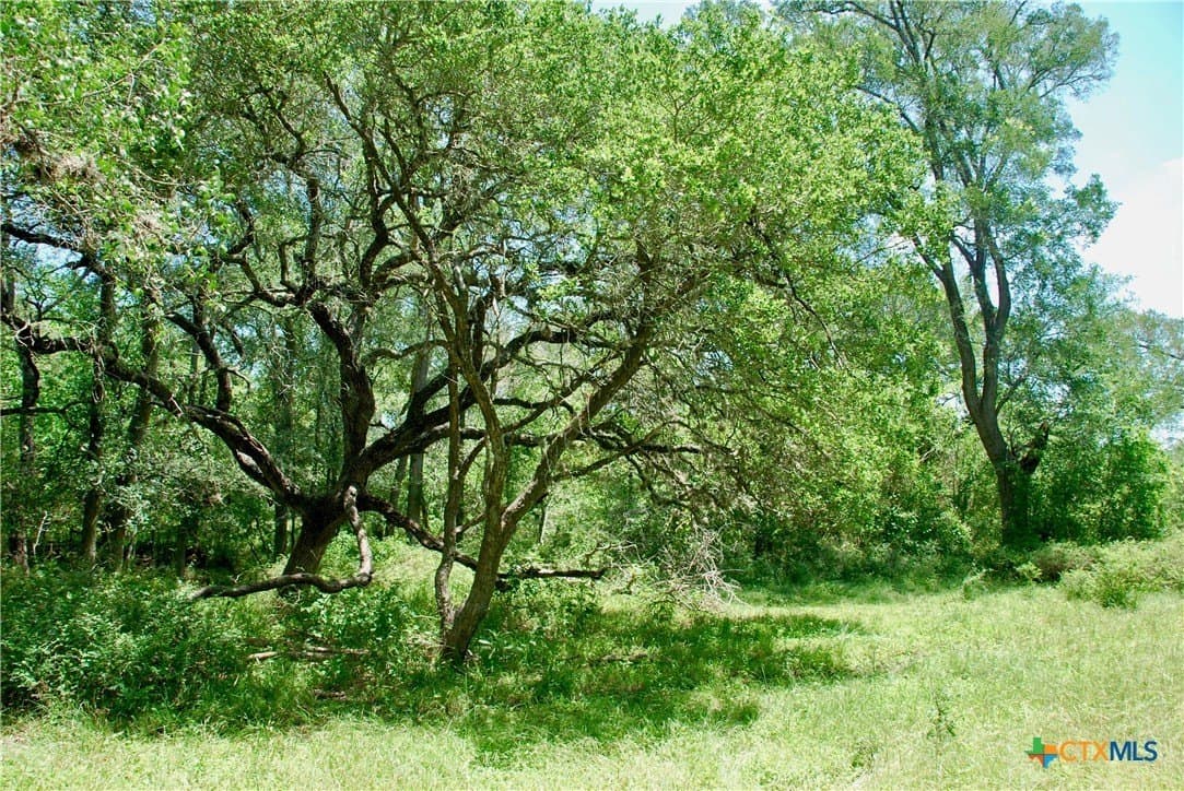 10.71 acres in Fayette County - photo 18