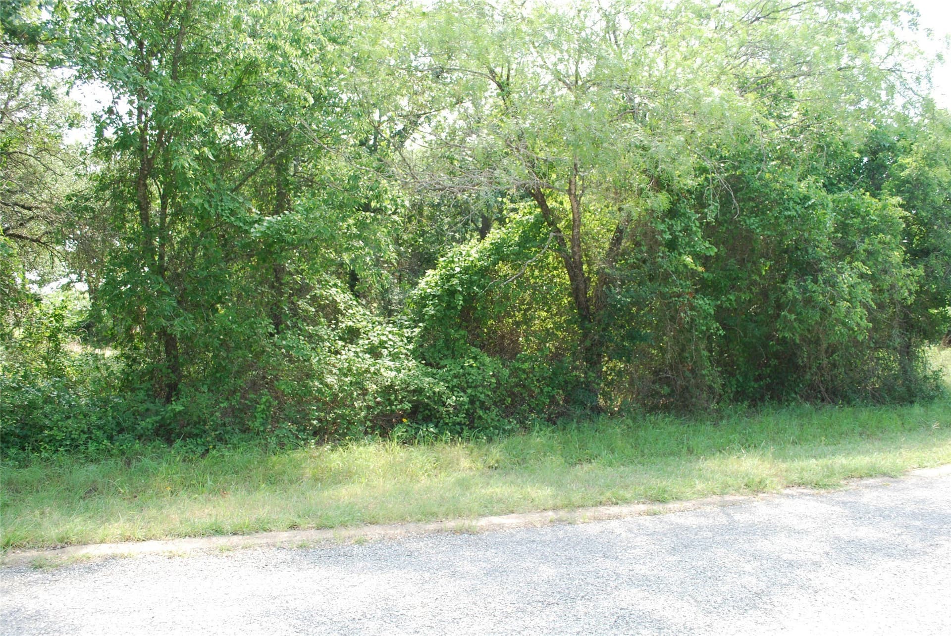0.14 acres in Hill County - photo 2
