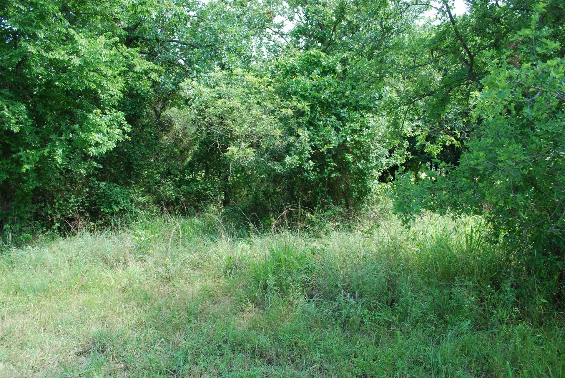 0.14 acres in Hill County - photo 7