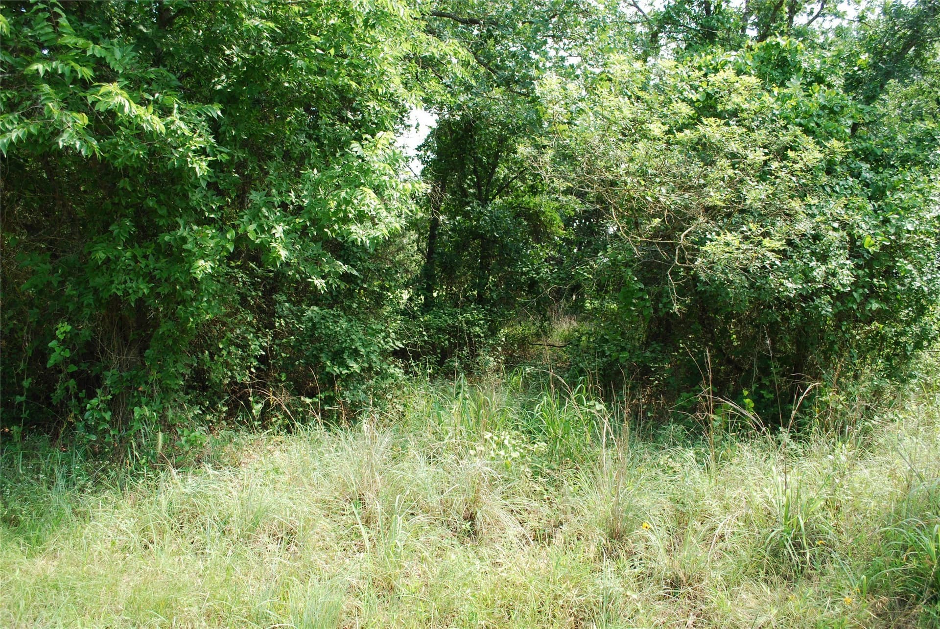 0.14 acres in Hill County - photo 5