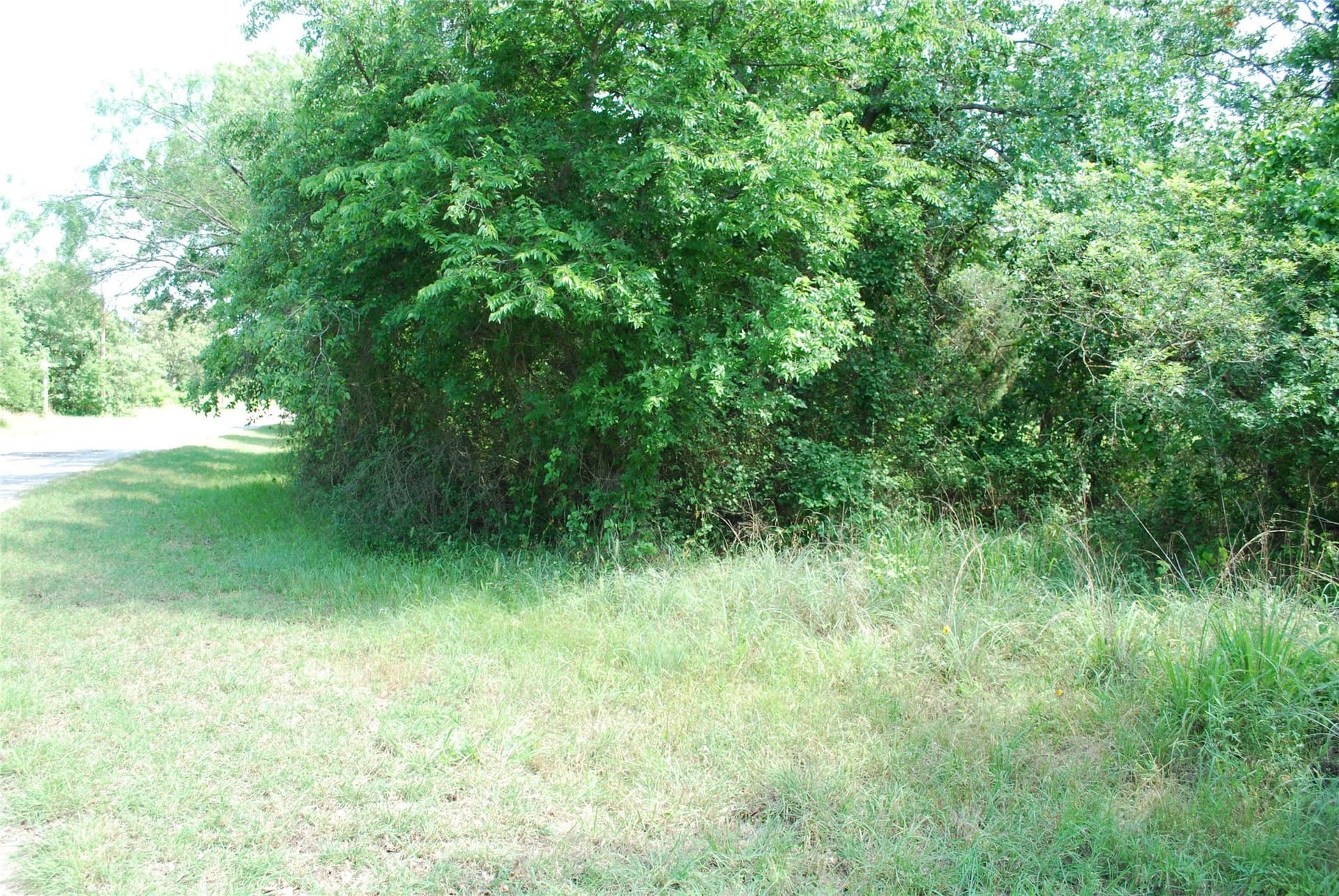 0.14 acres in Hill County - photo 8