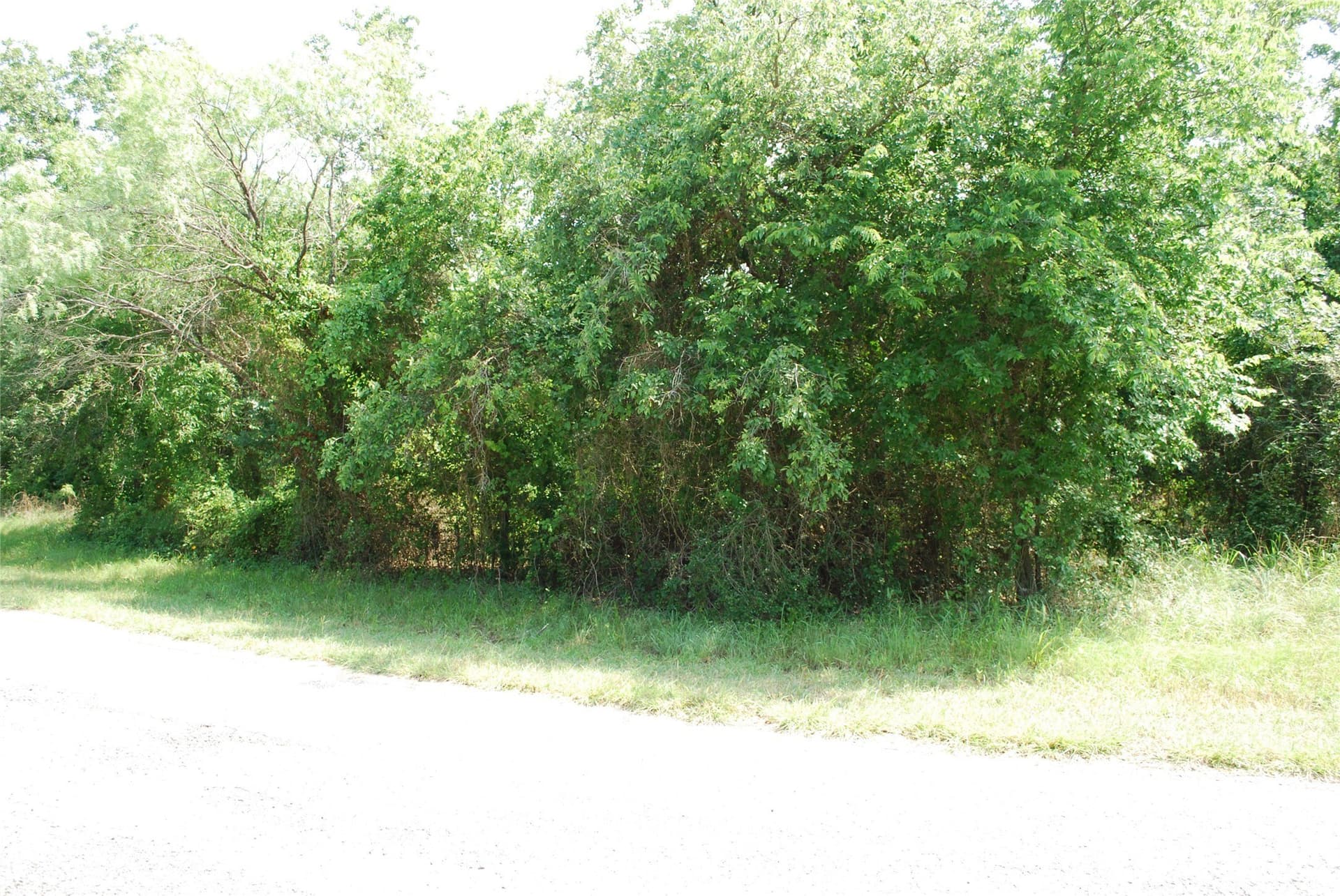 0.14 acres in Hill County - photo 4