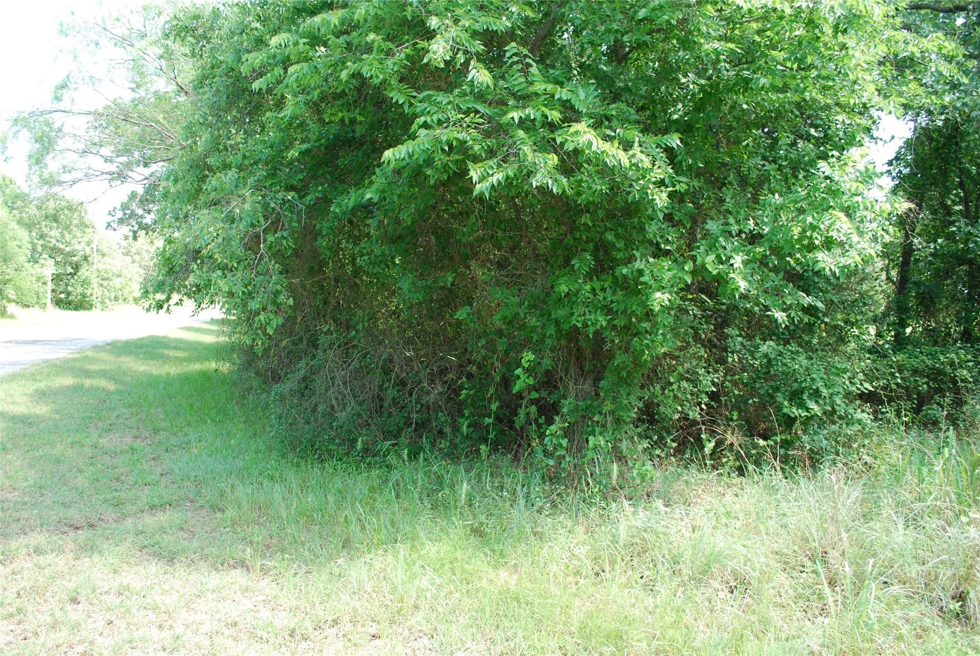 0.14 acres in Hill County - photo 6