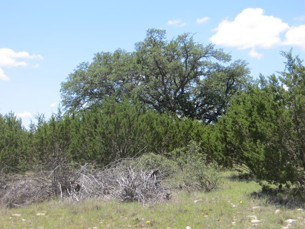 655.6 acres in Kimble County - photo 17