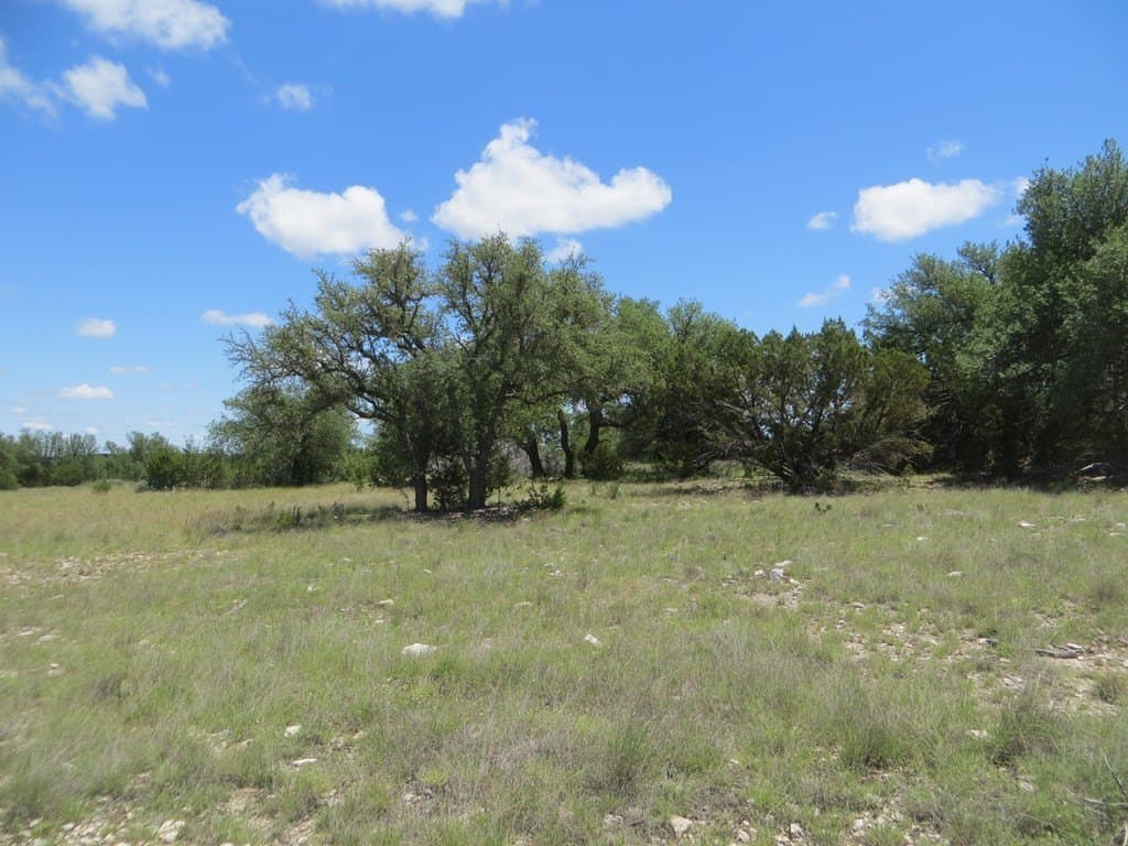 655.6 acres in Kimble County - photo 4