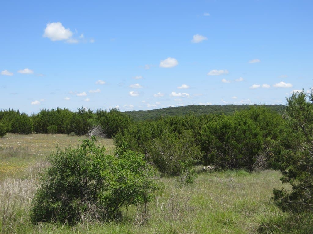 655.6 acres in Kimble County - photo 16