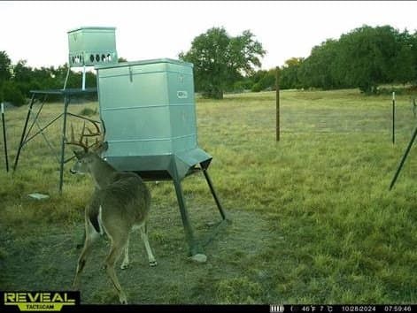 655.6 acres in Kimble County - photo 51